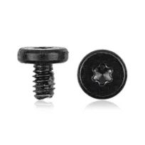 MacBook Pro 13" (A2289 / Late 2016 To Early 2020) (A2338 / Late 2020) (100 Pack) Audio Flex Cable Bracket Screws (Long) (Torx T5) (1 Piece Set)