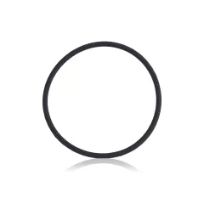 Black iPhone 8 Plus (100 Pack) Back Camera Lens O-Ring Gasket