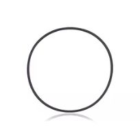 iPhone X / XS / XS Max (100 Pack) Back Camera Lens O-Ring Gasket