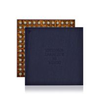 iPhone 11 / 11 Pro / 11 Pro Max / 12 / 12 Mini / 12 Pro / 12 Pro Max (338S00509) Big Audio IC