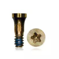 Gold iPhone 7 / 7 Plus  (100 Pack) Bottom Screws
