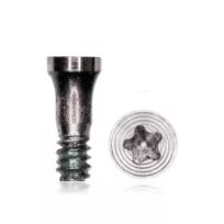 Silver iPhone 7 / 7 Plus  (100 Pack) Bottom Screws