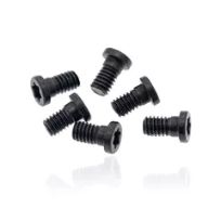 MacBook Pro Retina 13" (A1502 / Early 2015 / Mid 2014 / Late 2013) Hinge Screws (Torx T8)