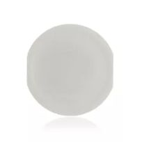 White iPod Nano 7 Home Button