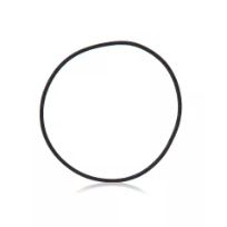 iPhone 7 / 7 Plus (10 Pack) Home Button Waterproof Gasket