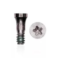 Silver iPhone 7 / 7 Plus (10 Pack) Pentalobe Screws